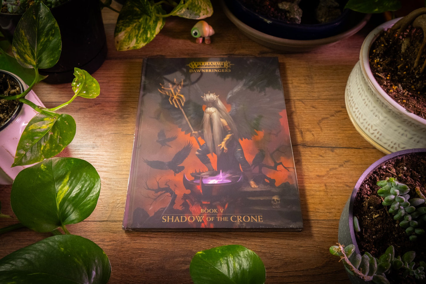 Warhammer AoS - Dawnbringers Book V: Shadow of the Crone Collector's Edition